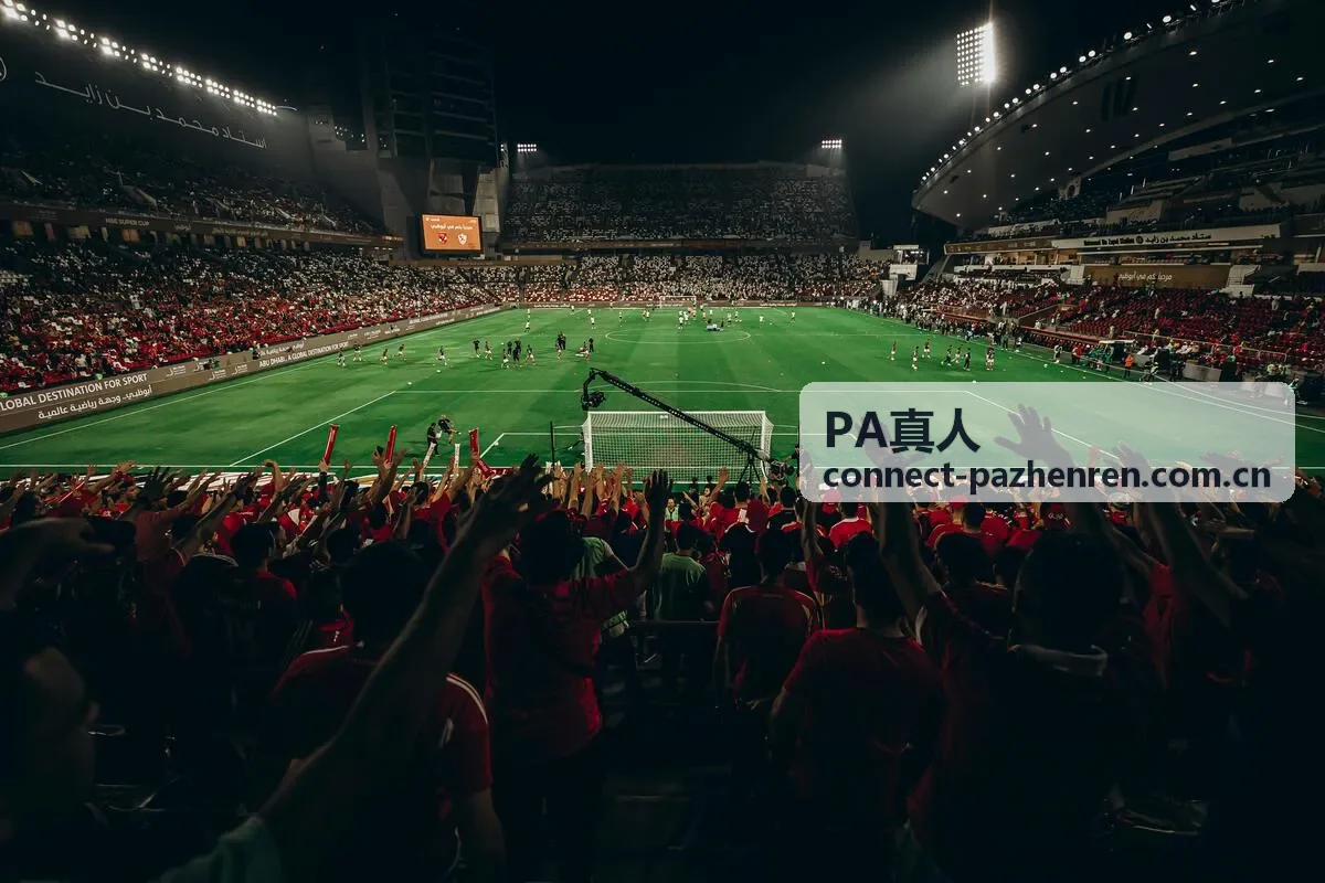 PA真人远程行政支持应用场景